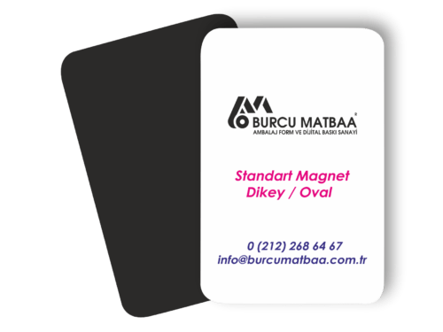 Magnet Baskı