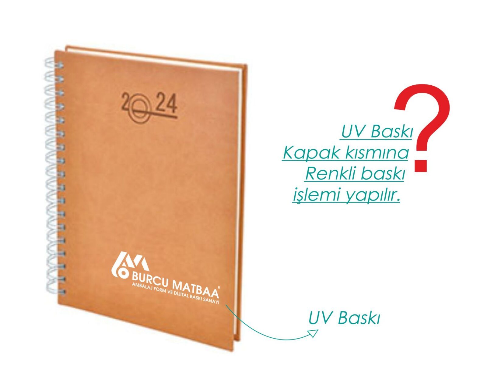 Masa üstü ajanda taba renk